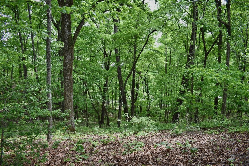 Picture 25