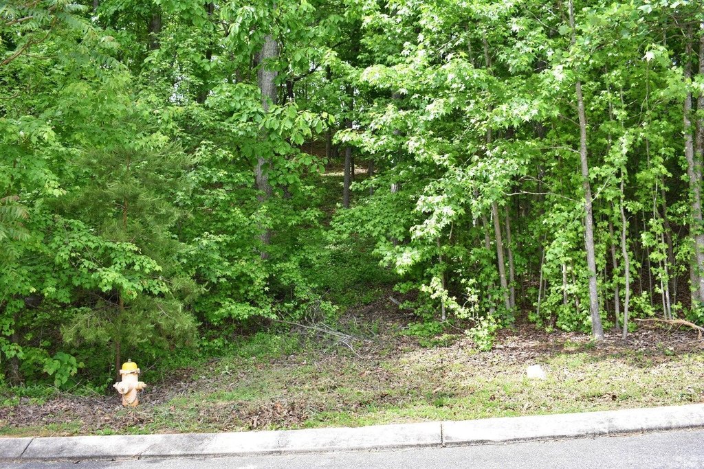 Picture 36