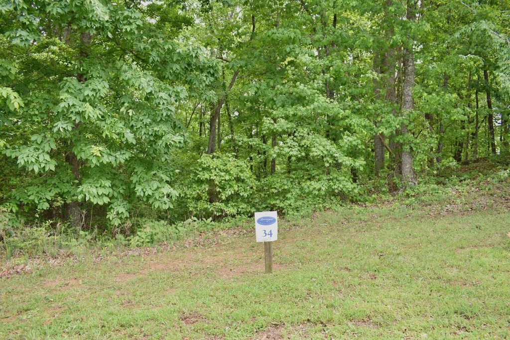 Picture 19