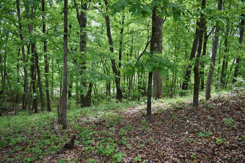 Picture 27