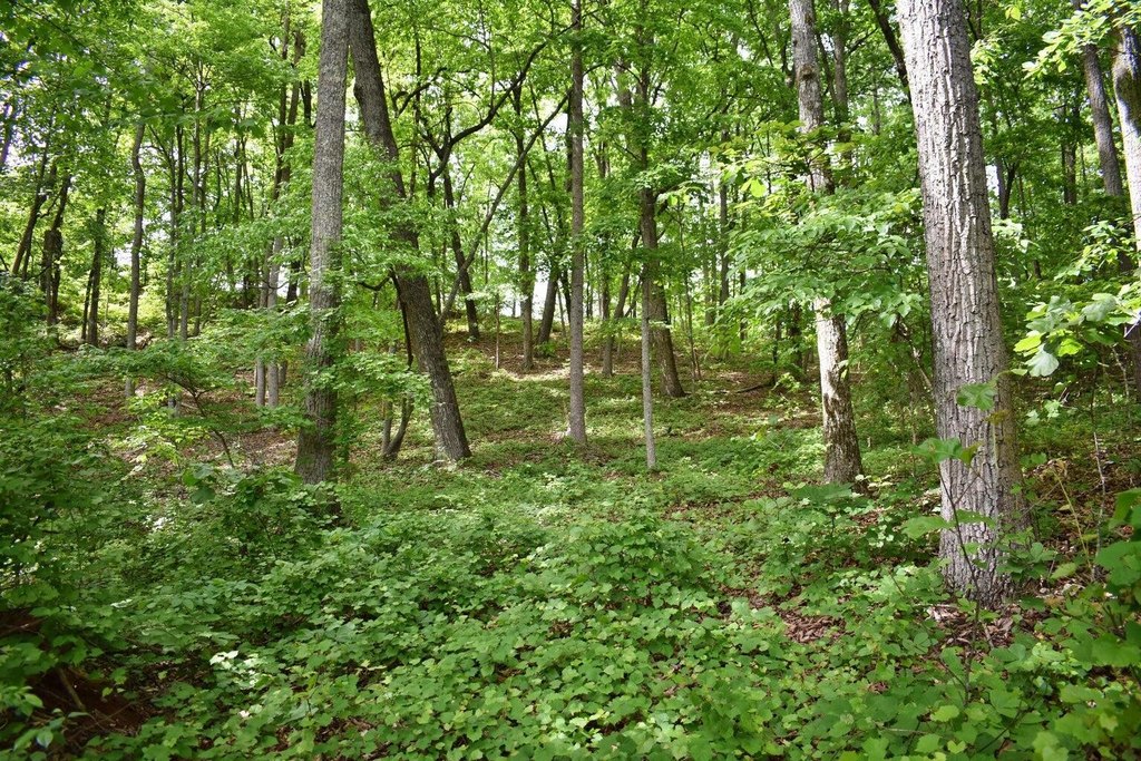 Picture 35