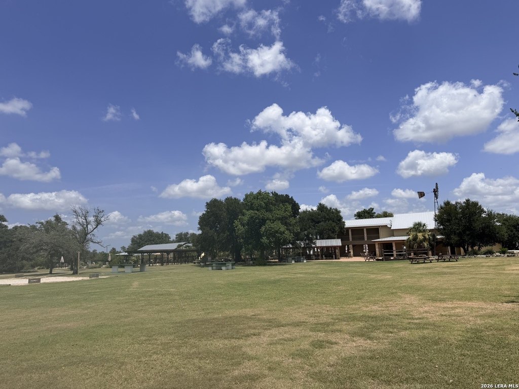 Picture 20