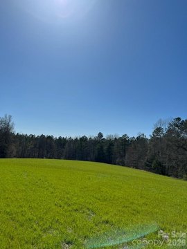 40 Acres of Wooded Land