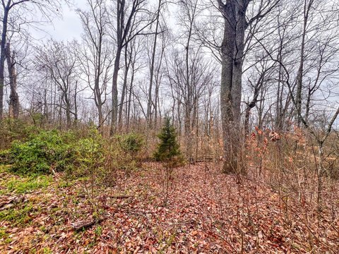 LAND - New Tazewell, TN