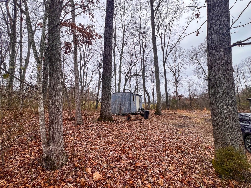 Picture 6