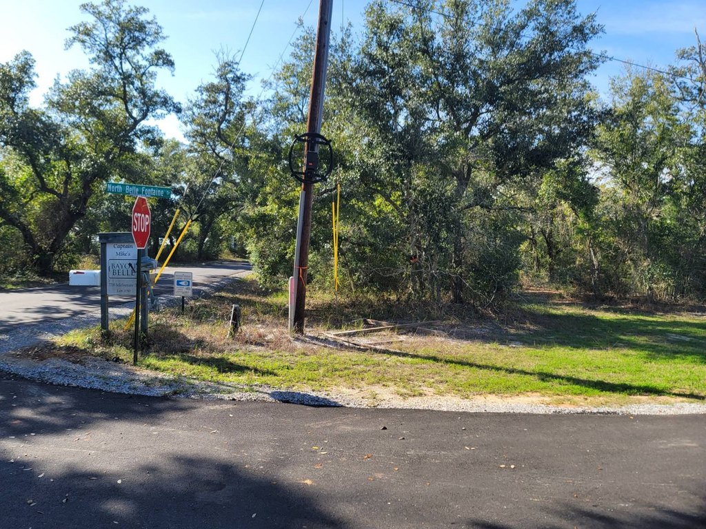 Picture 15