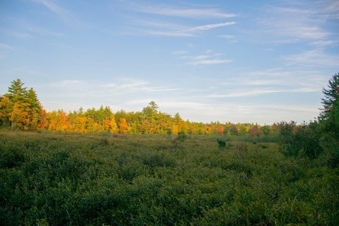 LAND - Waterboro, ME