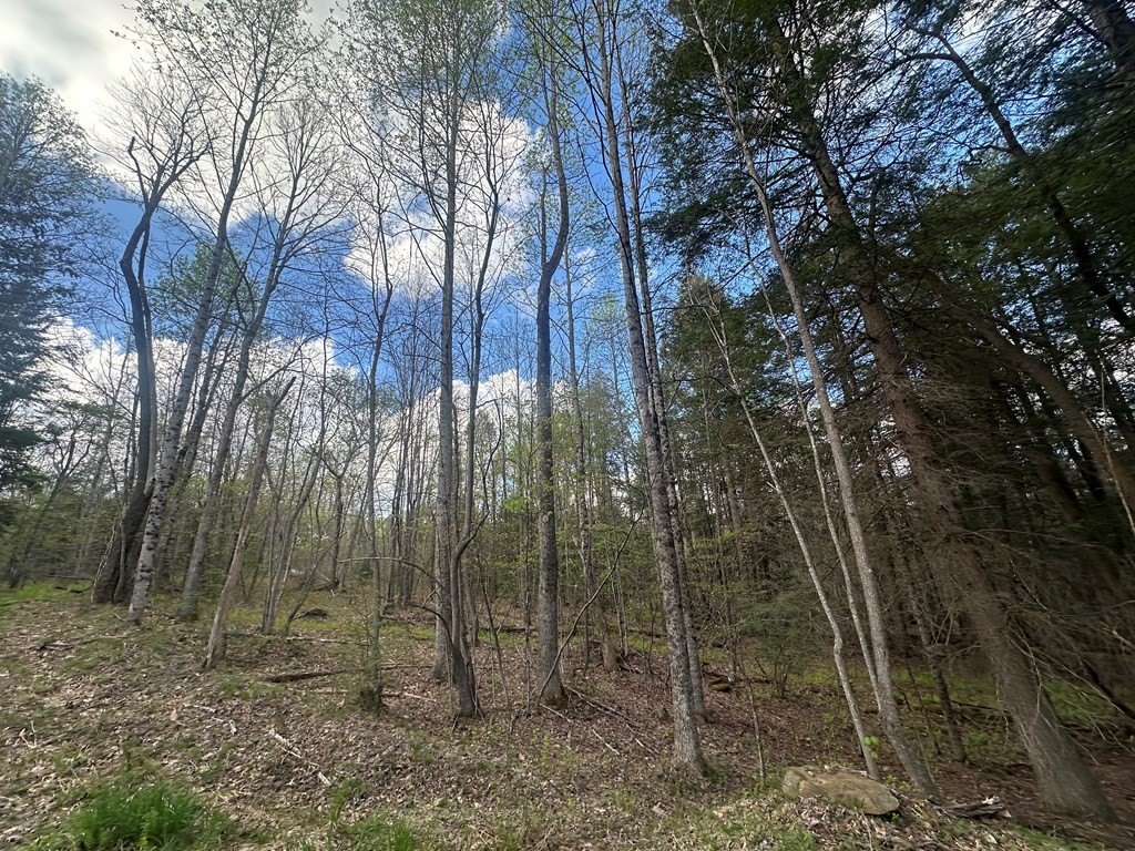 Picture 30