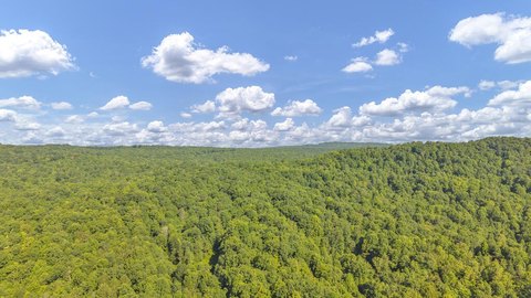 30 Acres Hunting/Recreation Land, Danese