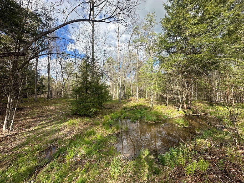 Picture 19