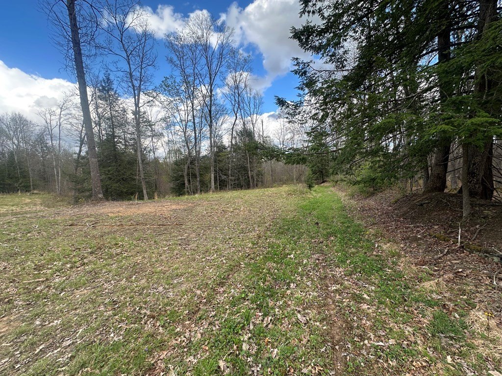 Picture 5