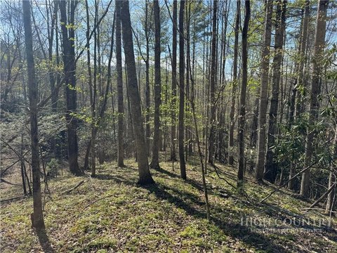 Land in Blue Ridge Mountains
