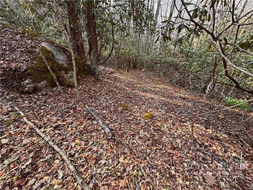 Picture 37