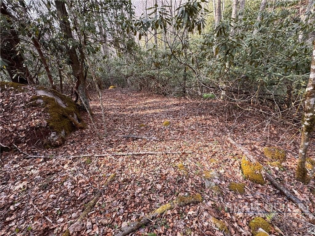 Picture 38