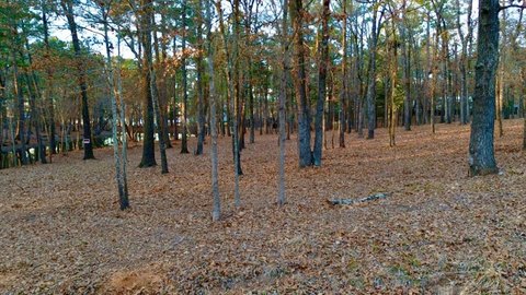 LAND - Flint, TX
