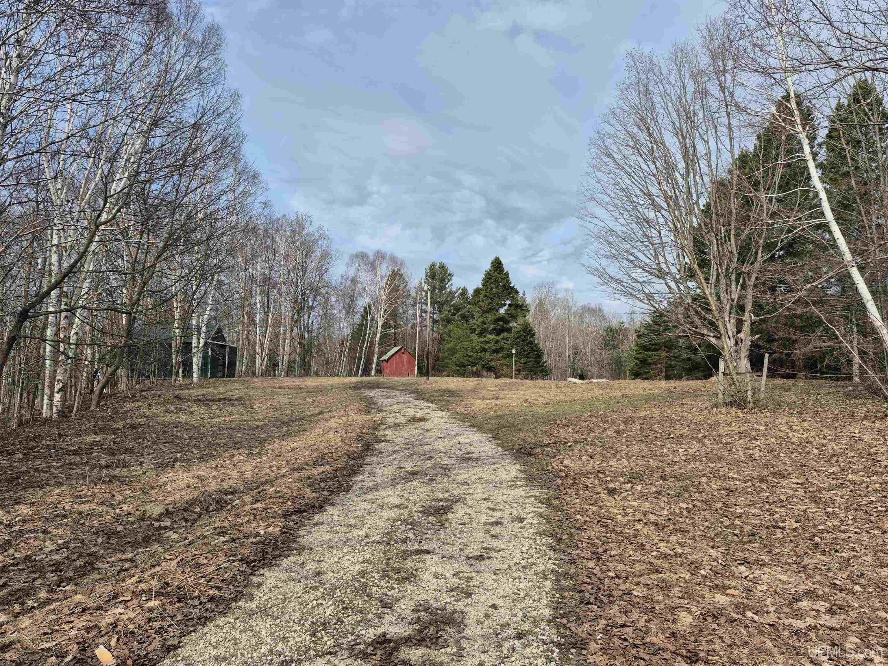 20 Acres in Schoolcraft County