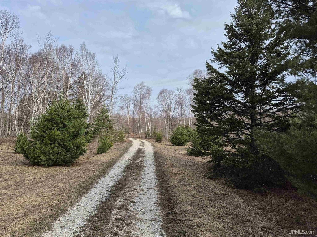 Picture 26