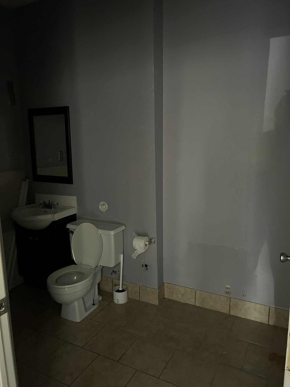 Picture 5