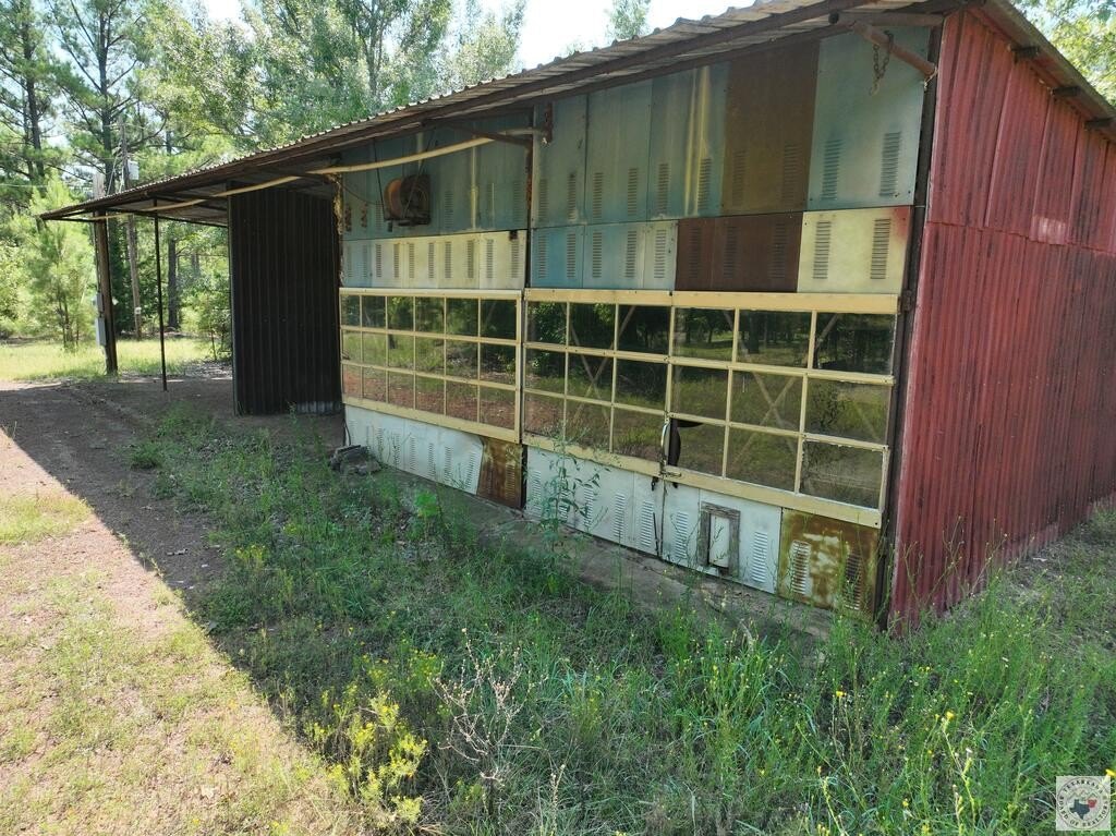 Picture 11
