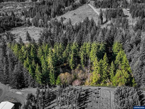 Bare Land, Silverton, OR