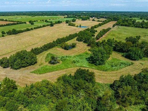 Unimproved Land in Blossom, TX
