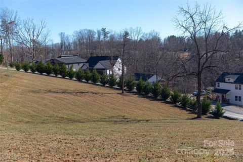 Land in Avery's Creek/Arden