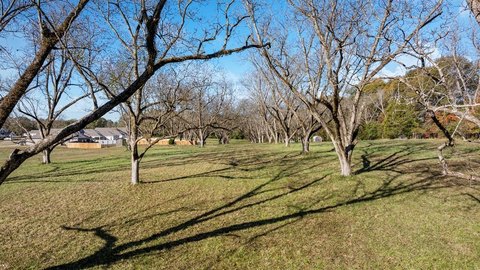 Residential Land in Pine Mountain