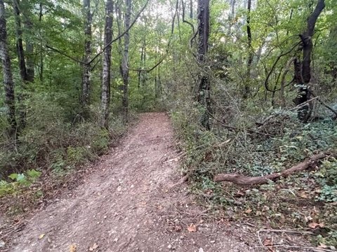 Land, Morristown, TN