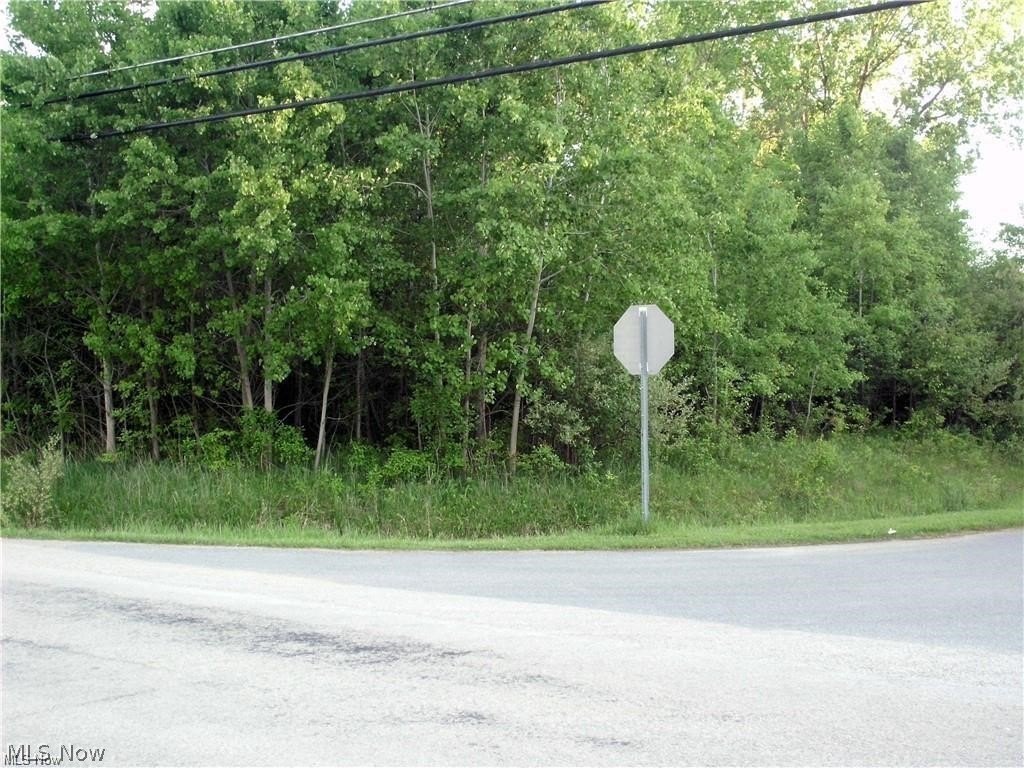 Picture 3
