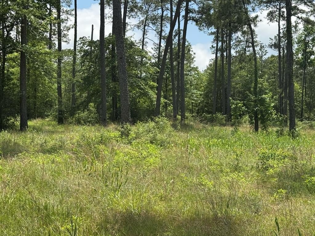 Picture 7