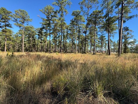 Waterfront Land in Brookeland, TX