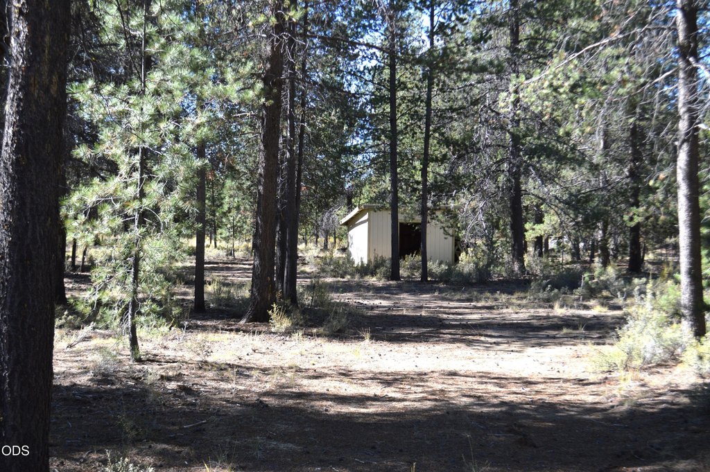 Picture 5