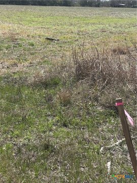 Seguin, TX Land For Sale