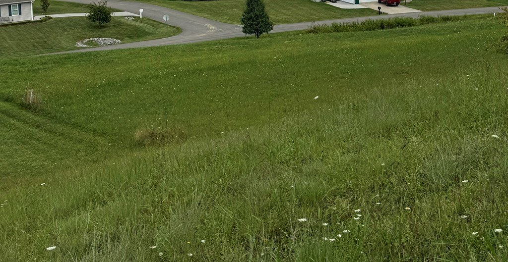 Picture 3