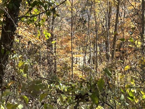 Lakefront Land in Somerset, KY