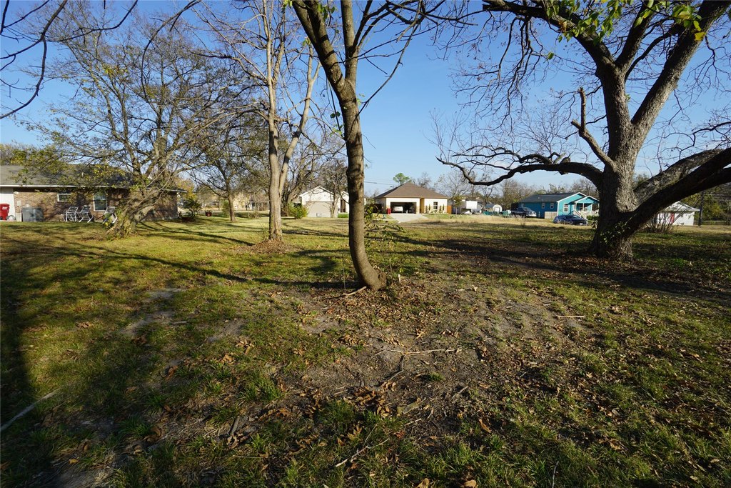 Picture 3