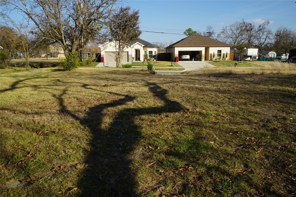 Picture 6