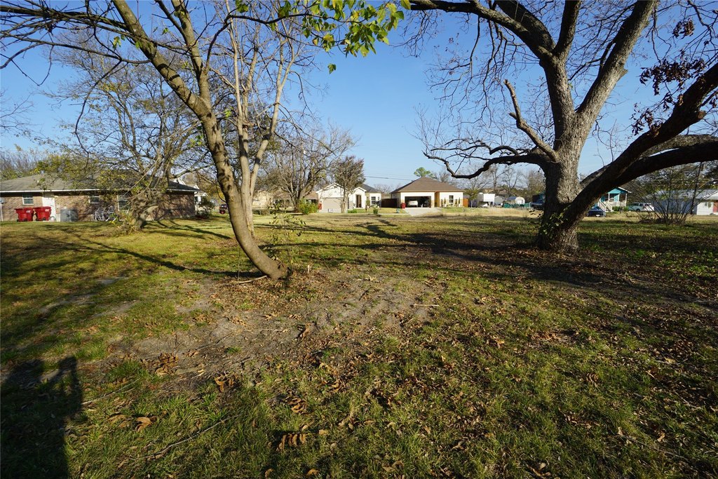 Picture 4