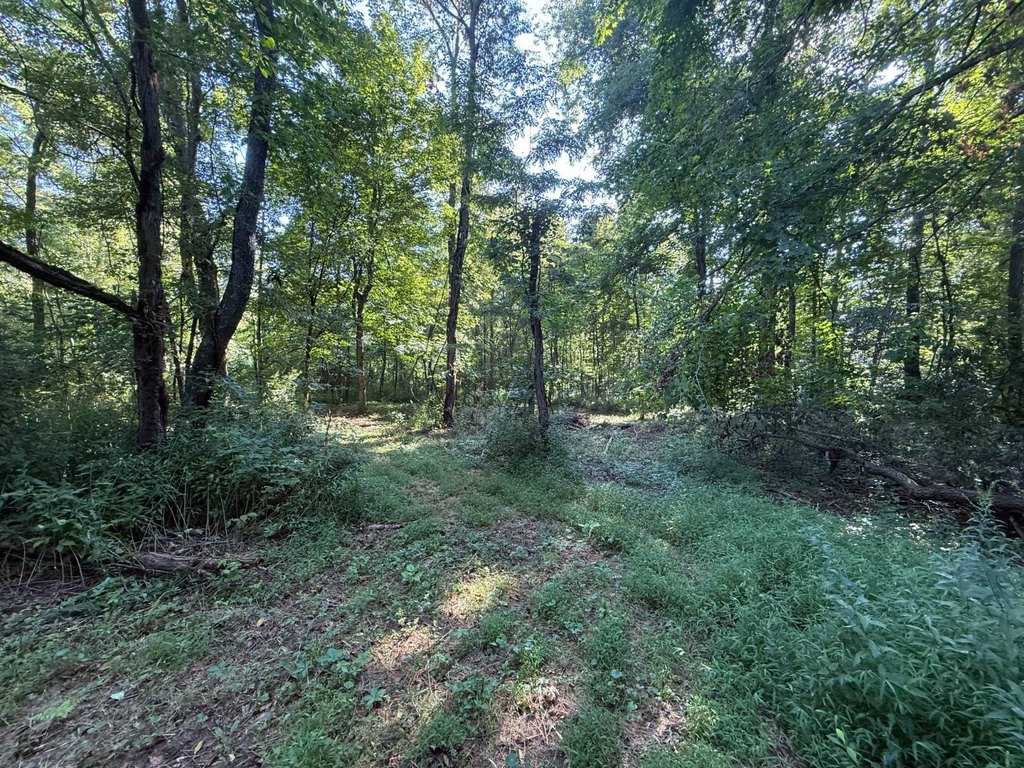 Picture 8
