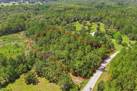 LAND - TRENTON, FL