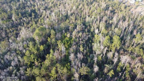 Hunting and Recreational Land Tract