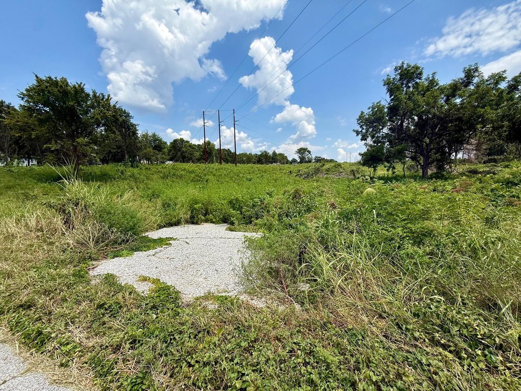 Picture 5