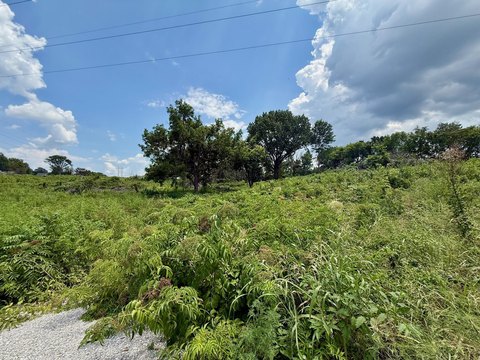 LAND - Neosho, MO
