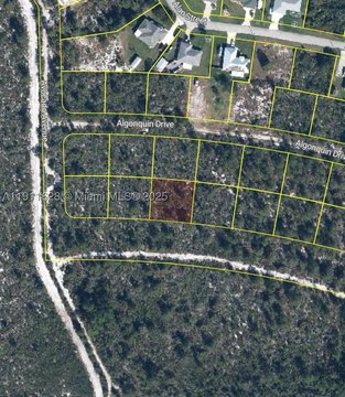Residential Lot in Sebring, FL