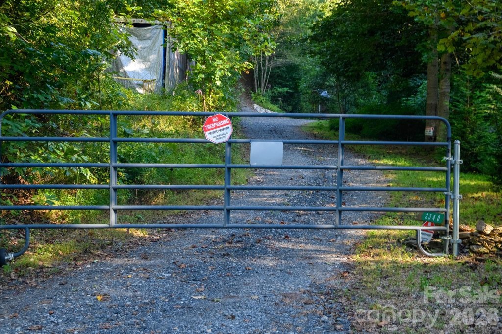 Picture 10