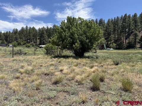 LAND, Pagosa Springs, CO