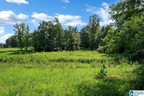LAND - CULLMAN, AL