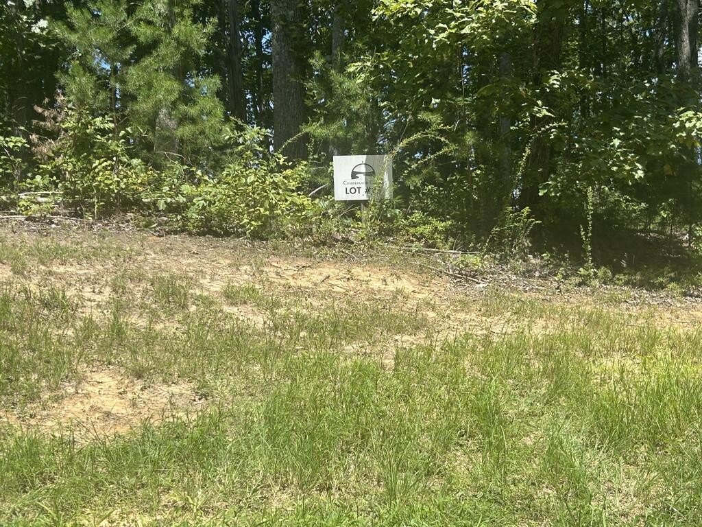 Picture 3