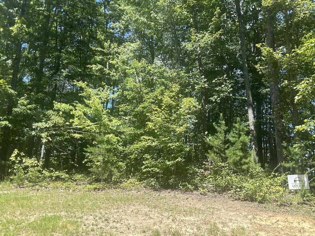 Picture 4