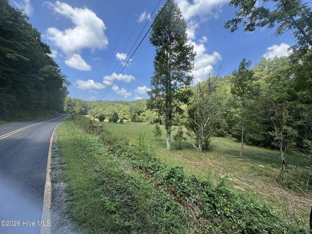 Picture 16
